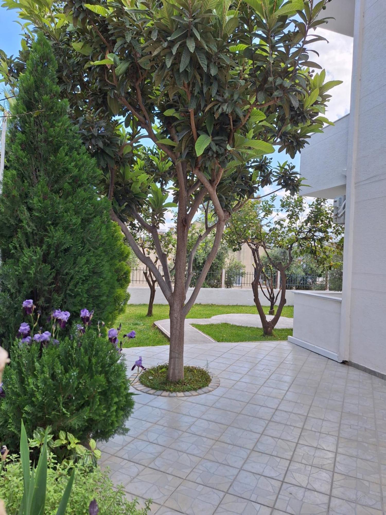 קסאמיל Vila Anxhelo מראה חיצוני תמונה